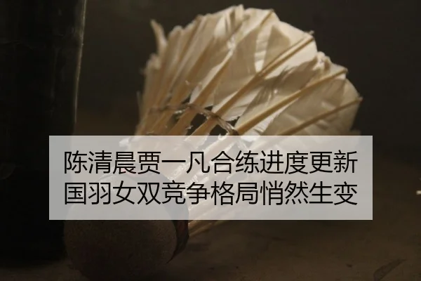 陈清晨贾一凡合练进度更新 国羽女双竞争格局悄然生变