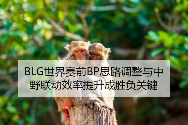 BLG世界赛前BP思路调整与中野联动效率提升成胜负关键